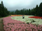 DSCF0057.JPG