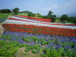 IMGP0522.JPG