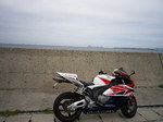 IMGP0547.JPG