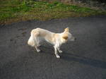 IMGP0615.JPG