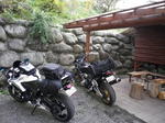 IMGP0618.JPG