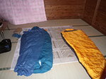 IMGP0624.JPG