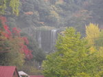 IMGP0646.JPG