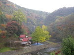 IMGP0647.JPG