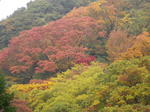 IMGP0649.JPG