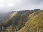 IMGP0671.JPG