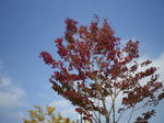 IMGP0678.JPG