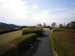 IMGP0700.JPG
