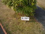 IMGP0701.JPG