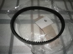 IMGP1118.JPG