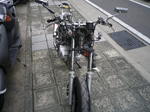 IMGP1626.JPG