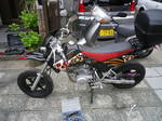 IMGP1628.JPG