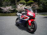 IMGP4177.JPG