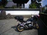 IMGP4560.JPG