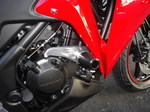 IMGP4867.JPG