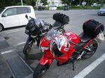 IMGP4977.JPG
